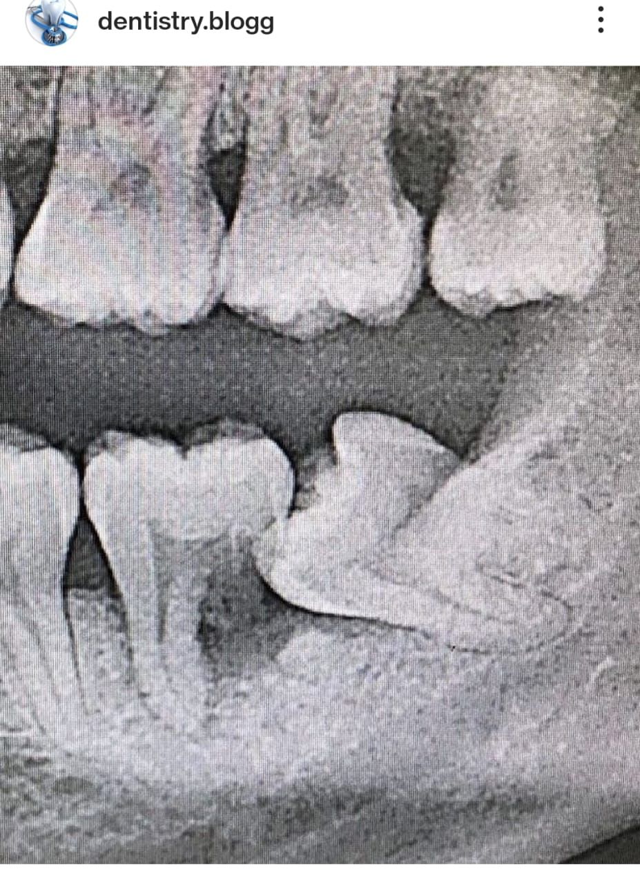 Our Dental Team